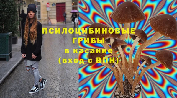 кокс Арсеньев